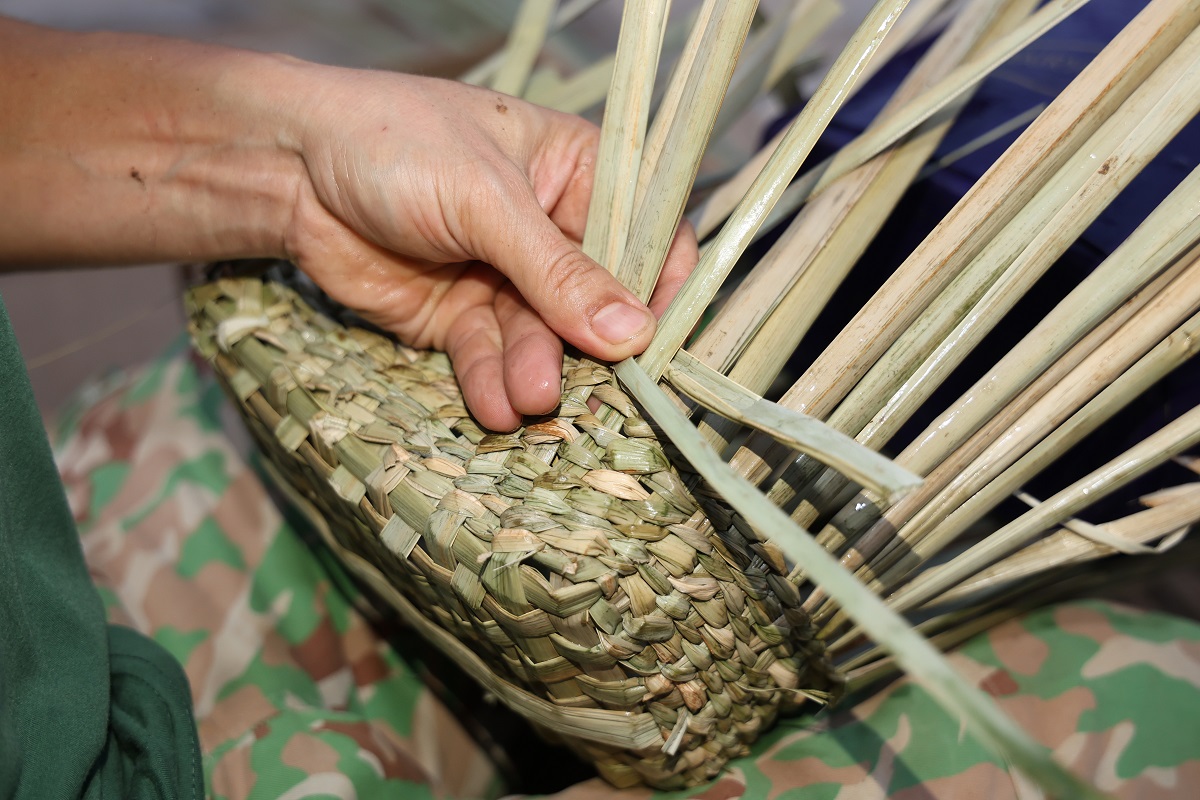 /UploadStore/admin/260115 bvdc2.7 don tu lenh/5.jpg